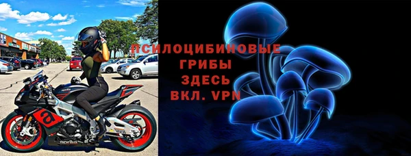 амф Абинск